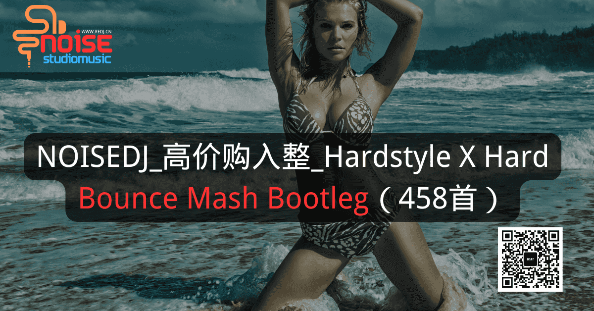 NOISEDJ_高价购入整_Hardstyle X Hard Bounce Mash Bootleg（458首）